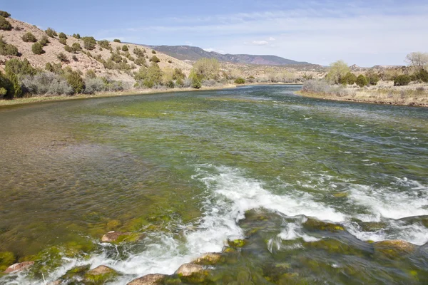 Green River a Browns Park, Utah — Foto Stock