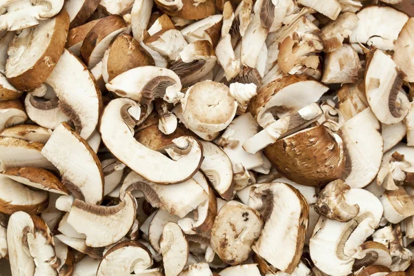 Crimini mushrooms — Stock Photo, Image
