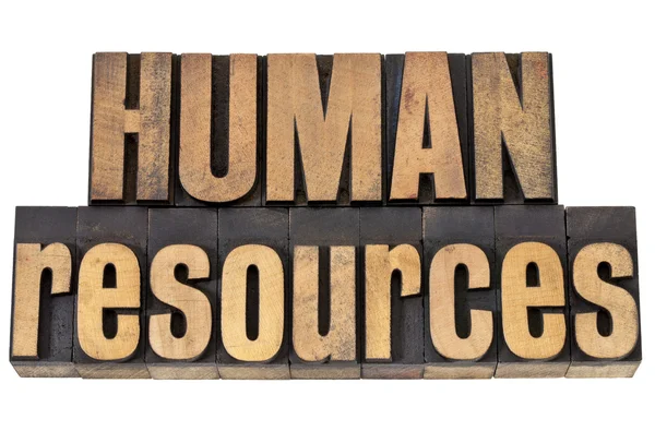 Mänskliga resurser i träslaget — Stockfoto