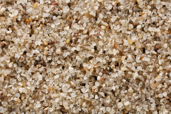 Ziarna piasku w 4 x naturalnej wielkości — Zdjęcie stockowe
