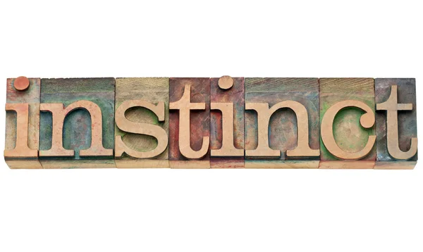 Instinct word in letterpress type — Stock Photo, Image