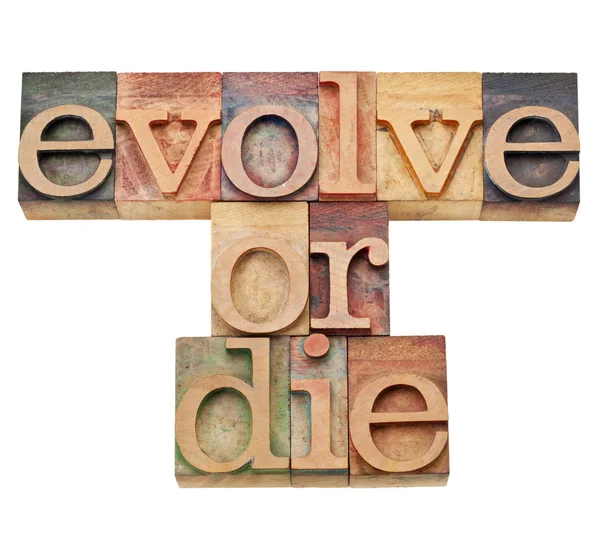 Evoluir ou morrer - conceito de evolução — Fotografia de Stock