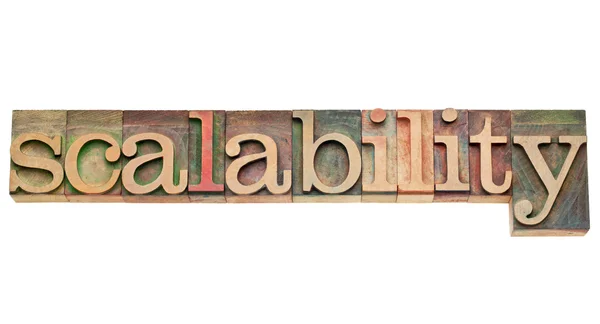 Scalability word in wood type — Stock Photo, Image