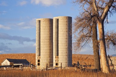 Abandoned farm in Colorado clipart