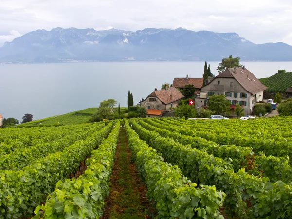 Озеро Леман, Швейцария, Европа — стоковое фото