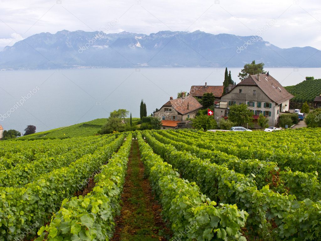 Leman Lake, Switzerland, Europe