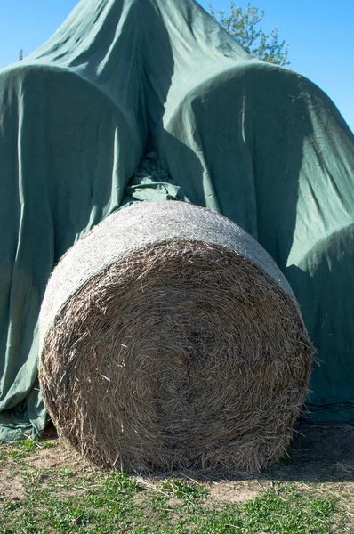 Hay balls in plastic cover wrap — Stock Photo, Image