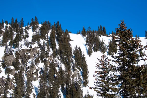 Snowy mountain — Stock Photo, Image