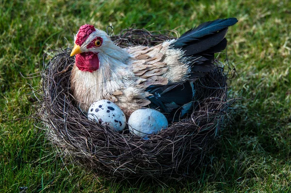 Hen And Eggs — Stock Photo, Image