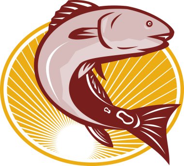 Red Drum Spot Tail Bass Fish Retro clipart