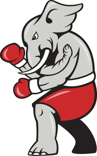 Sloní boxer boxu postoj — Stockový vektor