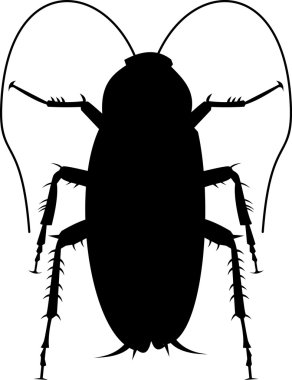 Cockroach silhouette clipart