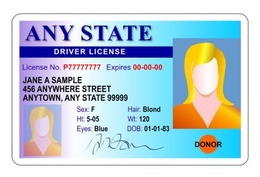Genel kadın durumda sürücü lisansı