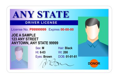 Generic male state driver license clipart