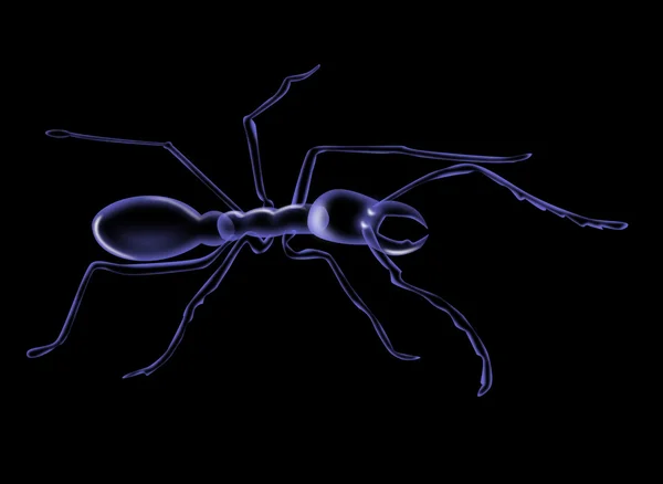 Силуэт муравья — стоковое фото