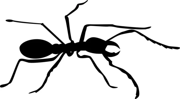 Силуэт муравья — стоковое фото