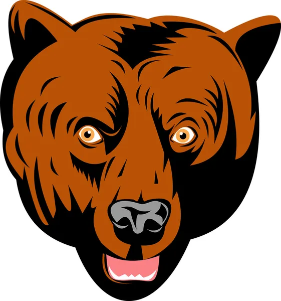 Grizzly testa di orso marrone rivolto verso anteriore — Foto Stock