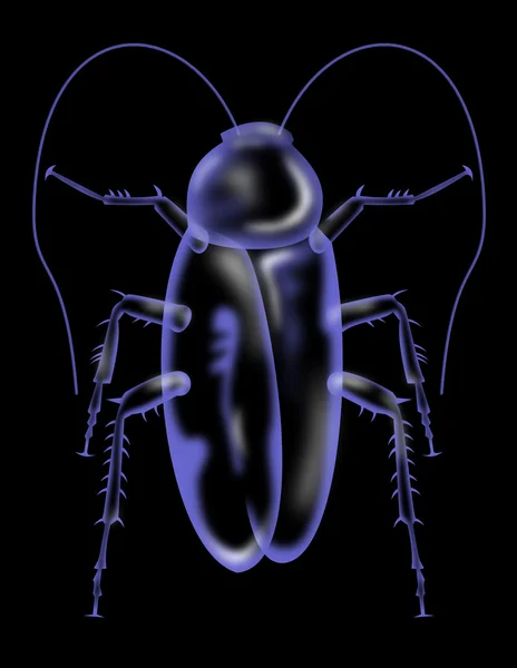 Hamam böceği siluet — Stok fotoğraf