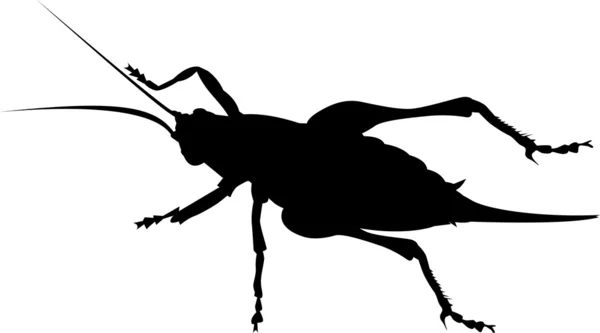 Cricket silhouette — Stock Photo, Image