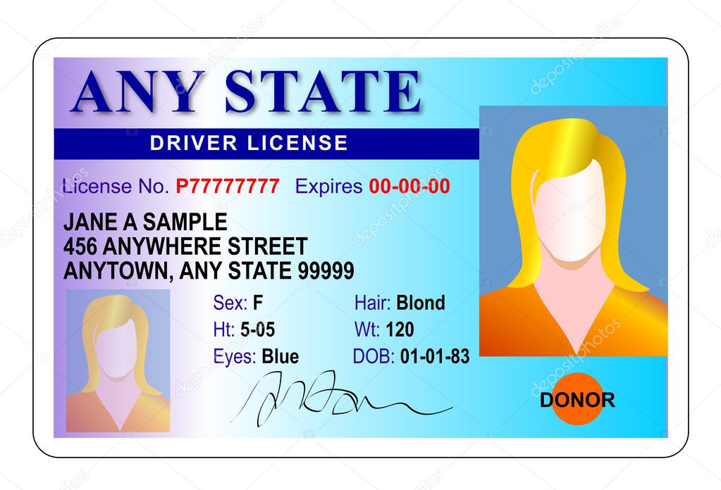 Generic female state driver license