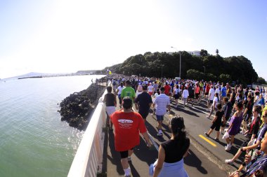 Auckland yuva 8 km eğlenceli yuvarlak yürüyüş 2011