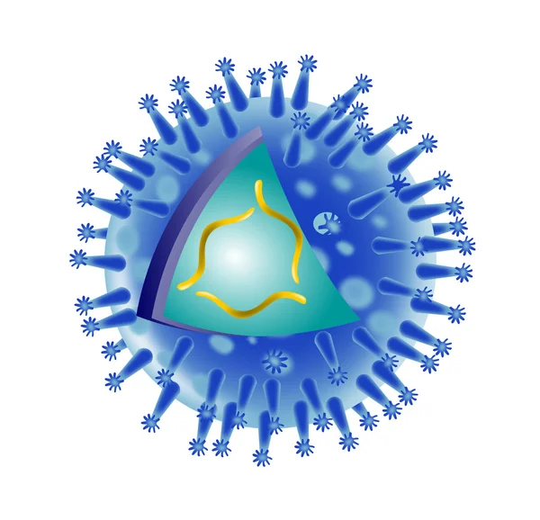 Structure du virus de la grippe — Photo