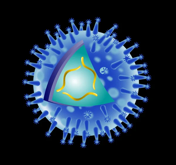 インフルエンザ ウイルスの構造 — ストック写真