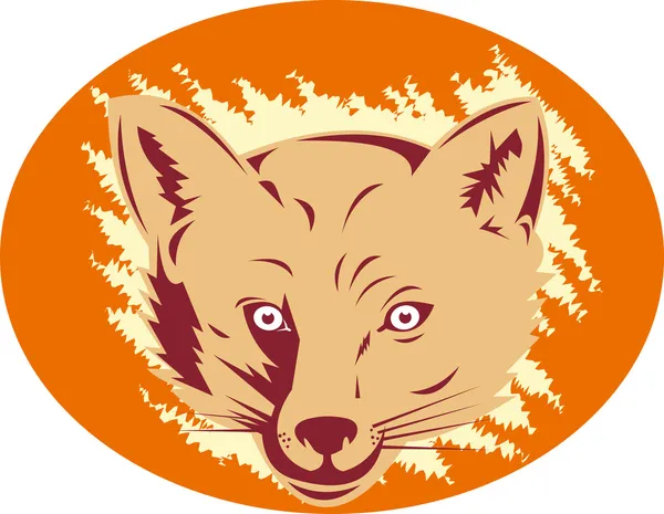 Fox hoofd — Stockfoto
