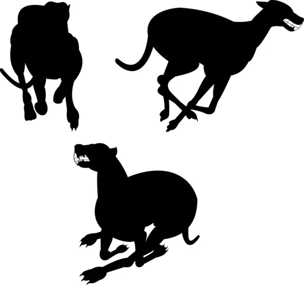 Гонки собак Грейхаунда — стоковое фото