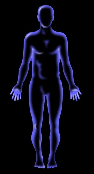 Anatomia humana masculina em pé — Fotografia de Stock