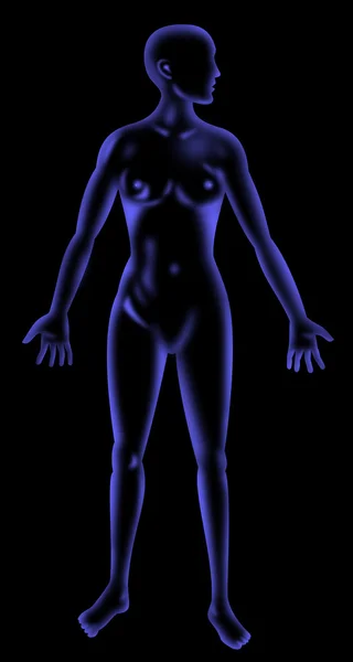 人体解剖学-男性立っている x 線スタイル — ストック写真