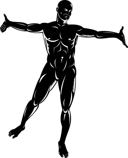 Manlig anatomi stående — Stockfoto
