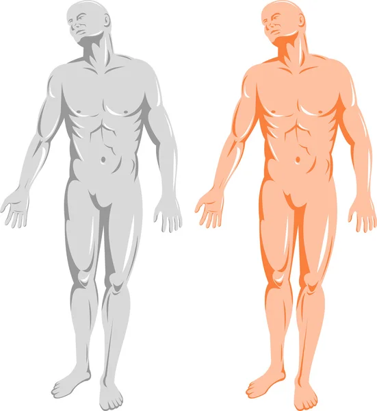 Anatomia umană masculină în picioare — Fotografie, imagine de stoc