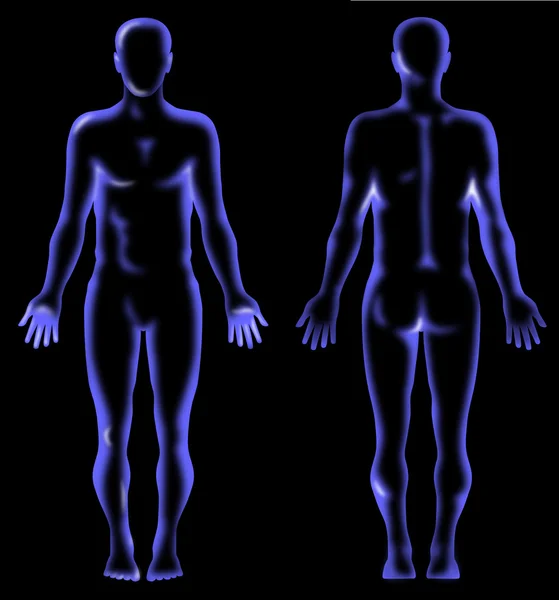 서 있는 남성의 인체 구조 — 스톡 사진