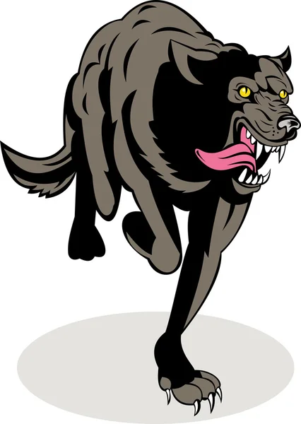 Wilde hond wolf aanvallende running — Stockfoto