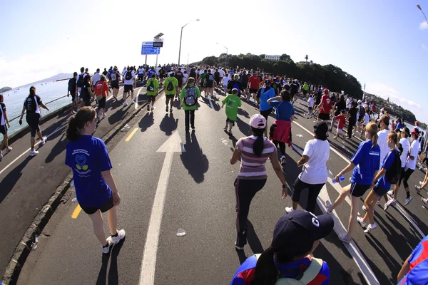 Eerste ronde van de pret van de 8 km baaien Auckland lopen 2011 — Stockfoto