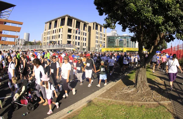 Auckland ronda las bahías 8 km Fun Walk 2011 — Foto de Stock