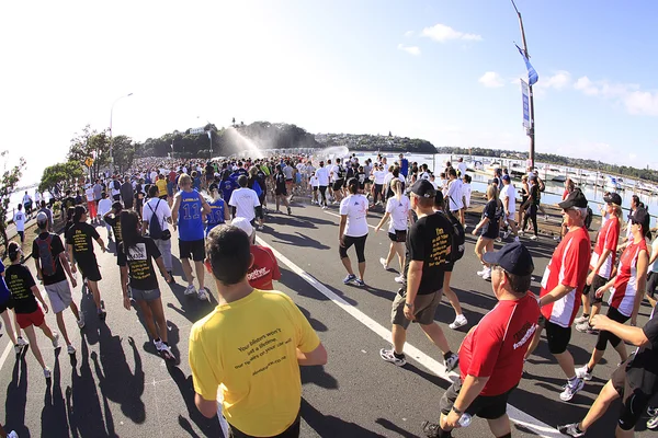 Eerste ronde van de pret van de 8 km baaien Auckland lopen 2011 — Stockfoto