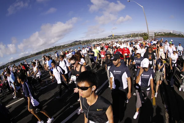 Auckland ronde de baaien pret uitvoeren 2010 — Stockfoto