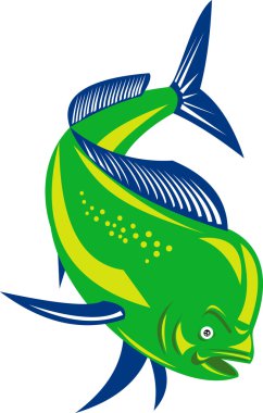 Dorado dolphin fish mahi-mahi jumping clipart