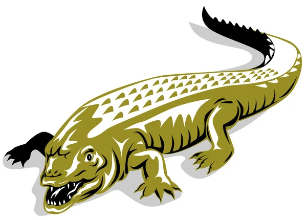 Alligator crocodile — Stock Photo, Image