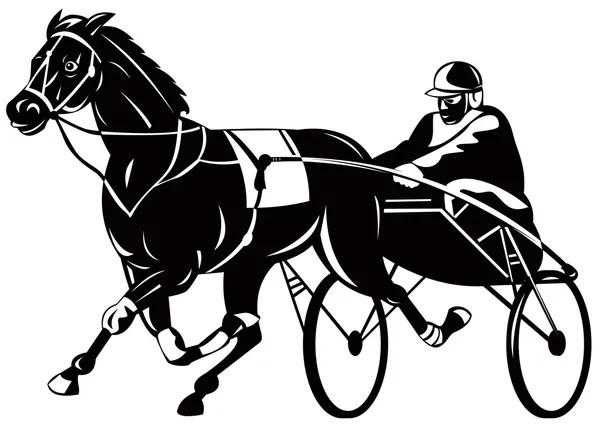 At ve jokey koşum takımı yarışı — Stok fotoğraf