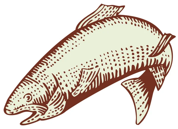 Pstrąg ryba skoki — Zdjęcie stockowe