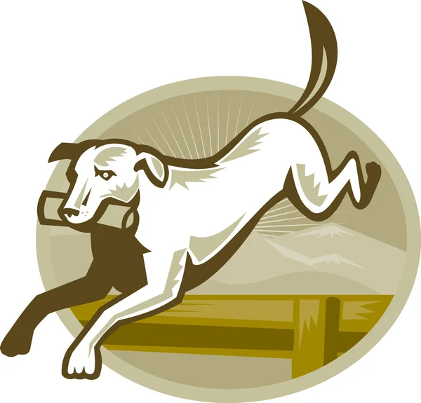 Retriever Dog Training Saltar obstáculo Retro — Archivo Imágenes Vectoriales