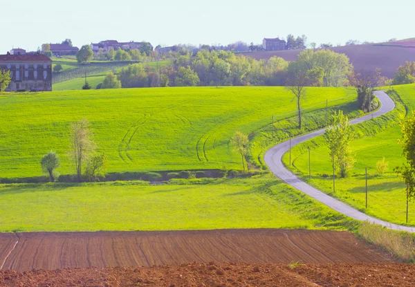 Road in the fields — Stock Photo, Image