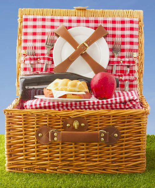 Picknickmand — Stockfoto