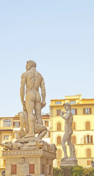 Piazza della signoria — Zdjęcie stockowe