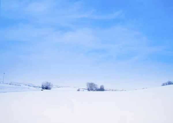 Paesaggio di neve — Foto Stock