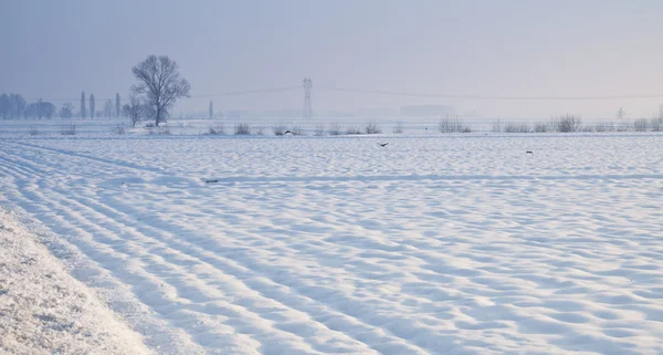 Paisagem de neve — Fotografia de Stock