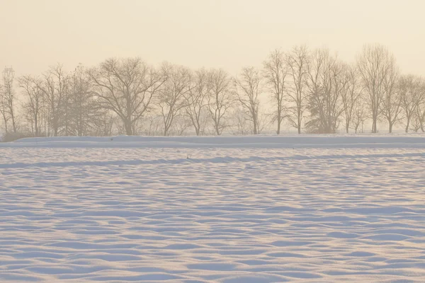 Paesaggio di neve — Foto Stock